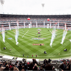 2016 Toyota AFL
