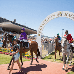 2017 Wellington Cup
