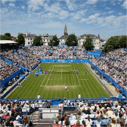 ATP 250 Series Court
