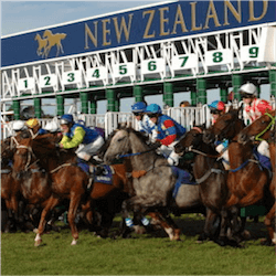 Auckland Cup Week 2017
