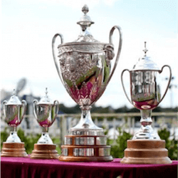 Auckland Cup

