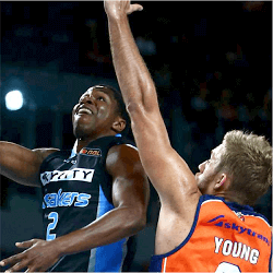 Basketball Taipans
