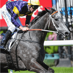 Chautauqua horse
