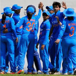 Cricket team
