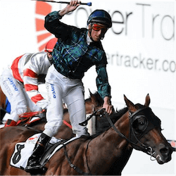 Fell Swoop racing horse
