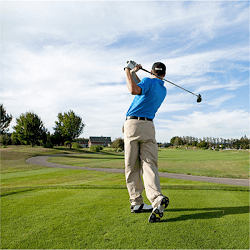 Golf player NZ

