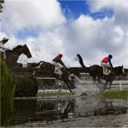 Jump racing
