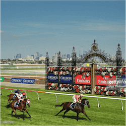 Lightning Stakes 2017 Field

