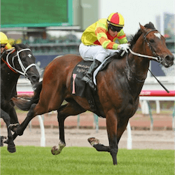 Lightning Stakes 2017
