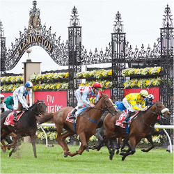 Melbourne Cup roundup
