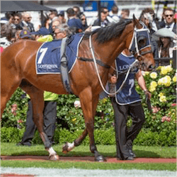 Mourinho horse
