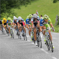 New Zealand Cycling Review
