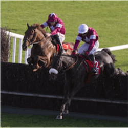 New Zealand jump racing
