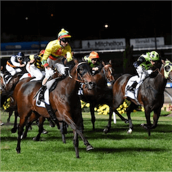 Oakleigh Plate Field

