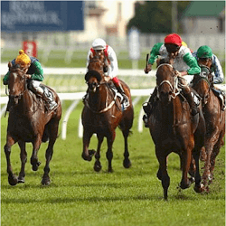 peters-investments-kingston-town-classic-winner