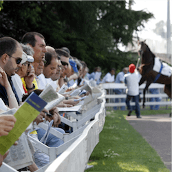 Pick Six Trentham
