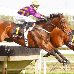 Sea King Wins Award
