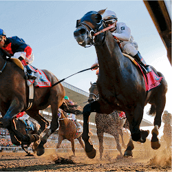 TABtouch Perth Cup
