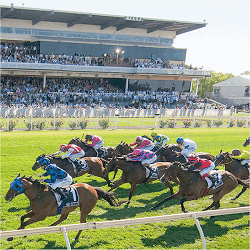 tabtouch-perth-cup-day