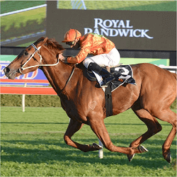 terravista-lets-down-punters