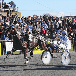 The Jewels Day race
