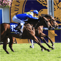 Top Horses Melbourne Club
