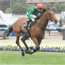 Turn Me Loose horse
