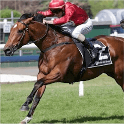 Volkstok n barrell
