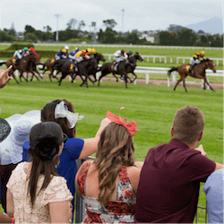 Wellington Cup Carnival