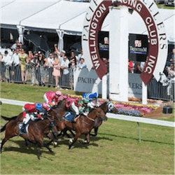 Wellington Cup Carnival Start

