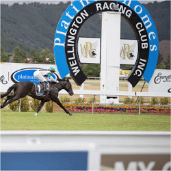 Wellington Cup Carnival horce racing

