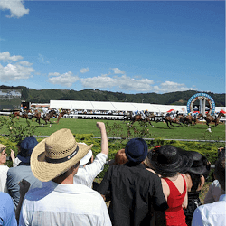 Wellington Cup Day 1
