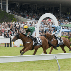 Wellington Cup Day Rain
