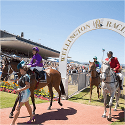 Wallaceville Estate Wellington Cup Day