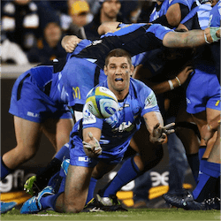 Western Force players
