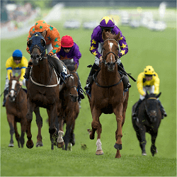horse racing leaders
