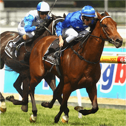 two horses racing racetrack
